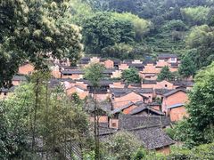 -杨家堂村
