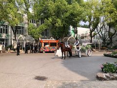 -J Create城市露营咖啡·简餐·宠物(上海动物园店)