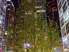 -CoCo都可(建外SOHO店)