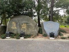-渤公岛生态公园