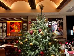 -Mammamia意大利餐厅(阳春巷店)