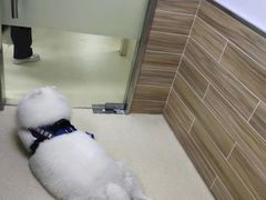 -爱侣宠医·鹦鹉专科·小型哺乳类·异宠专科(灵石路店)