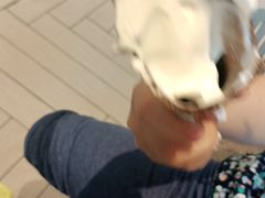 -肯德基(新佛罗伦萨店)