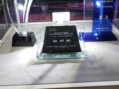 -长沙中升聚星奔驰4S店(望城店)