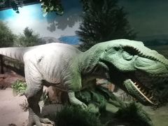 -国家自然博物馆