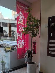 -可樱汇·美容洗发SPA