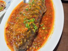 家传豆瓣鱼（鲈鱼）-永乐饭店