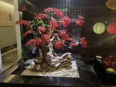 -新盈光·云会所(百丈东路店)