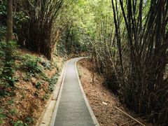 -广州市白云山风景名胜区