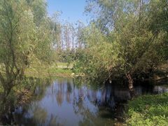 -前小桔亲子创意农场·草莓采摘·露营烧烤