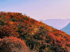 -周口店坡峰岭风景区