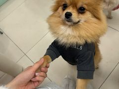 -怪兽屋·羊驼·猫咖·狗咖(俊华广场店)