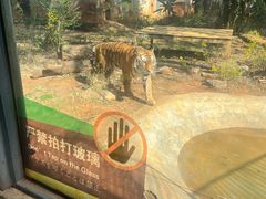 -昆明动物园
