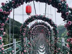 -马仁奇峰