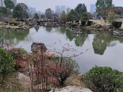 -桃花岭景区