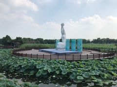 -荷塘月色湿地公园·向阳花洲