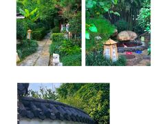 -观唐（国际）度假村温泉