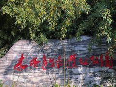 -木塔寺遗址生态公园