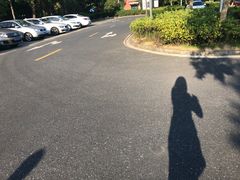 -上海欢乐谷-停车场