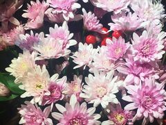 -谷莠子花艺气球派对·绿植造景·花艺沙龙(东海缤纷天地店)