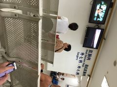 上海中医药大学附属曙光医院(张江分院)-上海中医药大学附属曙光医院(东部)