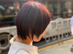 -小齐发型Star·Salon