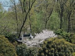 -南京东郊国宾馆