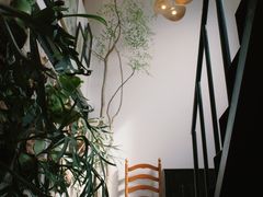-自由生长植物工作室(深港花卉中心店)