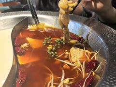 -麻田会 ·鲜活现烹·牛蛙火锅(珠江新城维家思广场店)