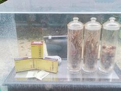 -广州神农草堂中医药博物馆