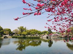 -无锡蠡湖国家湿地公园-蠡园