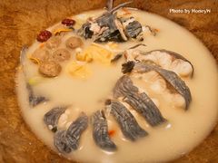 -滇小鱼·云南野生菌火锅(上杭路店)