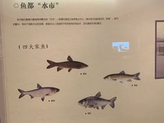 -湖州博物馆