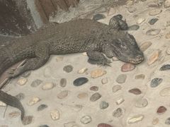 -上海昆虫博物馆