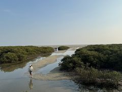 -北海金海湾红树林生态旅游区