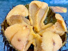 -海胆小馆(东北水饺·春柳店)