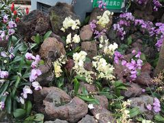 -南山植物园
