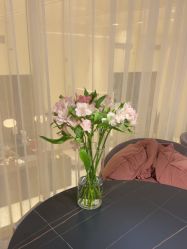 -海菲秀黑钻·SELF SKIN悦己·Tech SPA