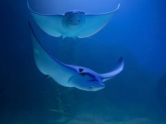 -常州海昌海洋探索馆