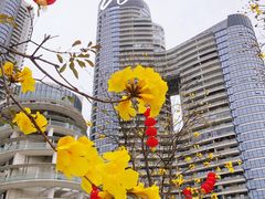 -洲头咀公园