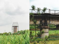 -永定河休闲森林公园