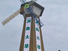 -川南大草原