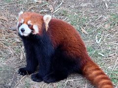 -宁波野生动物园