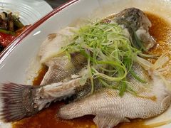 清蒸海鲈鱼-麒麟中餐厅·经典粤菜·地道菜式老字号(广州长隆酒店)