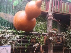 -呀路古热带植物园