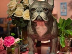 -百好乐宠物友好餐厅(朝外大街店)