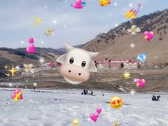 -关山草原