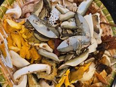 -草墩罗非鱼庄•野生菌•腊排骨(七星街上段店)