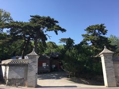 -阳台山自然风景区