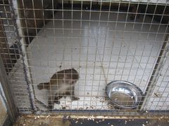 -南京金牛湖风景区